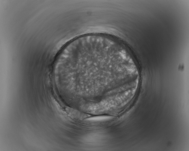 X0000112771497200909171301