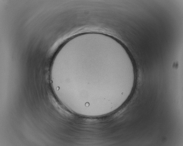 X0000112771499200909171301