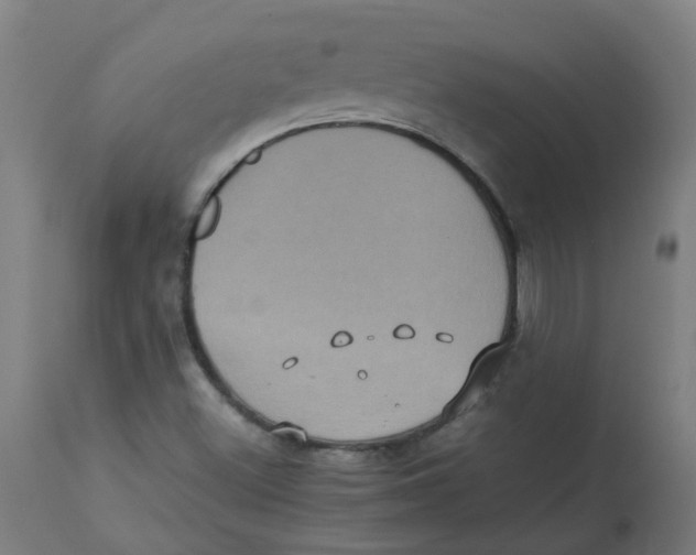 X0000112771500200909171301