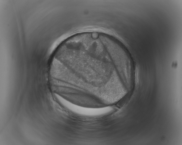 X0000112771501200909171301