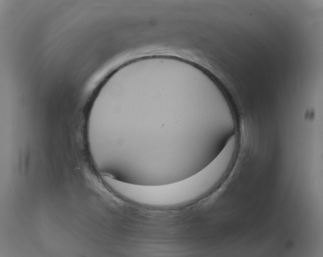 X0000112771502200909171301