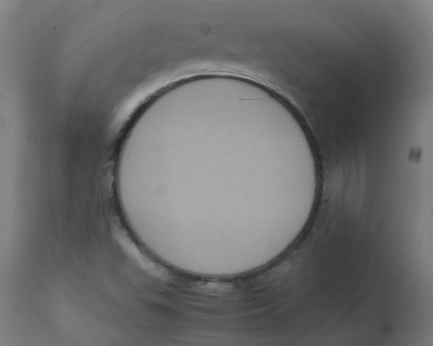 X0000112771503200909171301