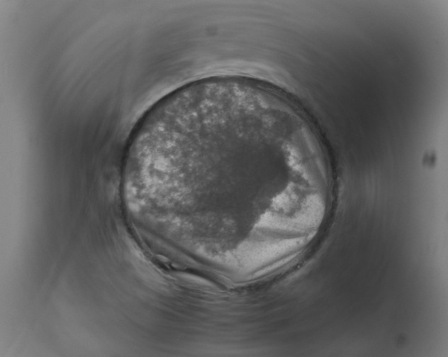 X0000112771505200909171301