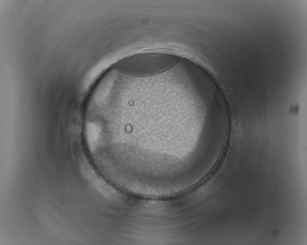 X0000112771506200909171301