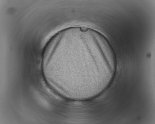 X0000112771507200909171301