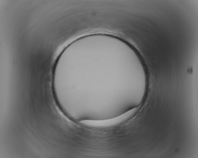 X0000112771508200909171301