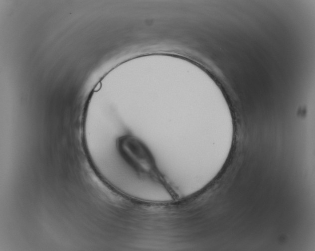 X0000112771512200909171301