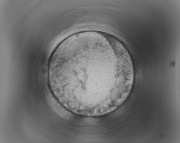 X0000112771514200909171301