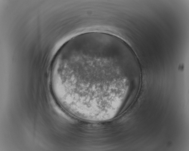 X0000112771515200909171301