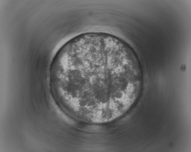 X0000112771517200909171301