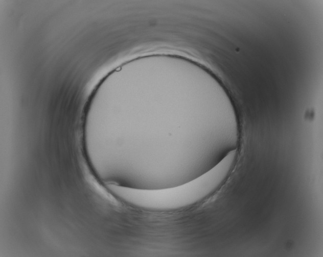 X0000112771518200909171301