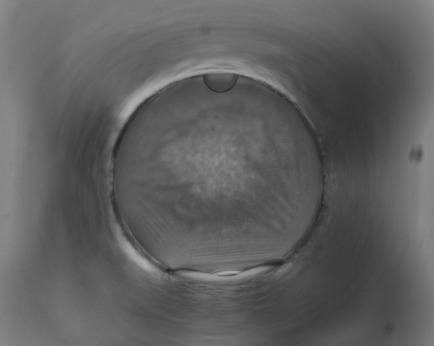 X0000112771519200909171301