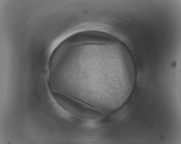 X0000112771520200909171301