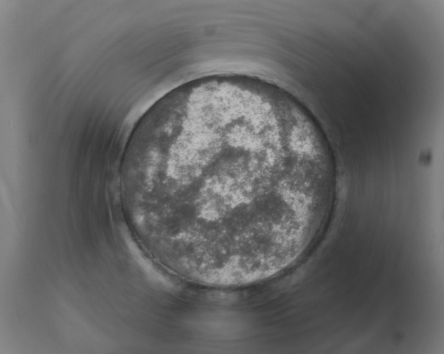 X0000112771521200909171301