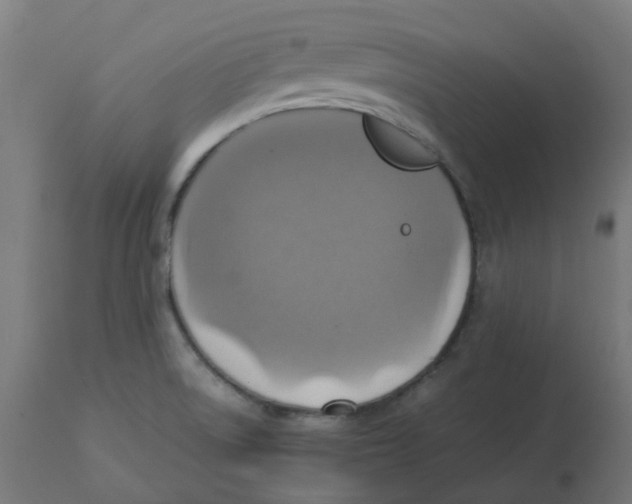 X0000112771522200909171301