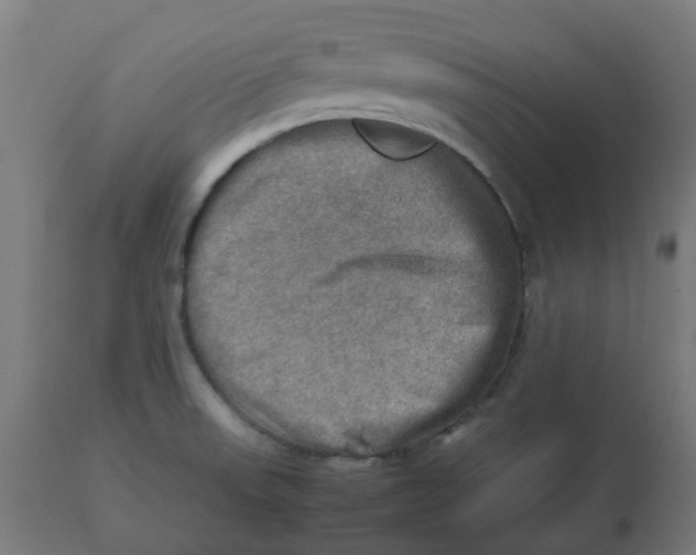 X0000112771523200909171301