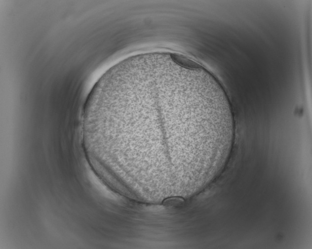 X0000112771524200909171301