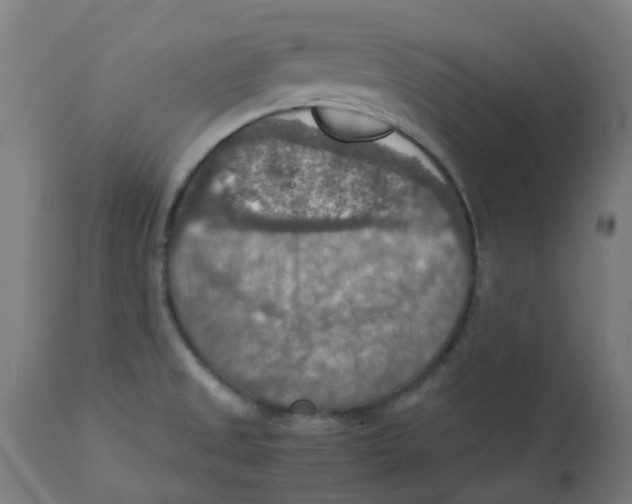 X0000112771525200909171301