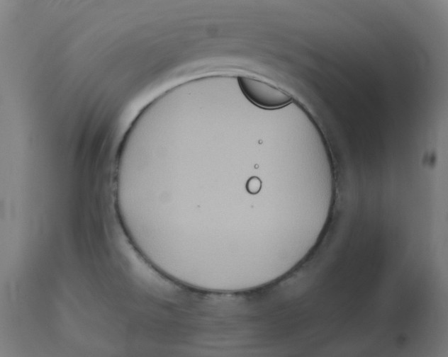 X0000112771526200909171301