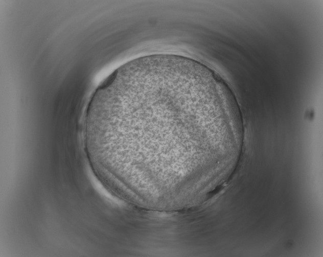 X0000112771528200909171301