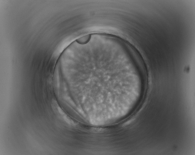 X0000112771529200909171301