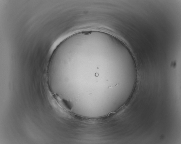 X0000112771530200909171301