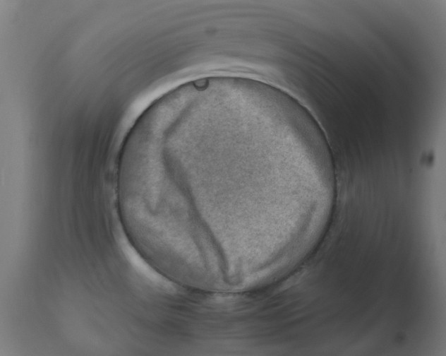 X0000112771531200909171301