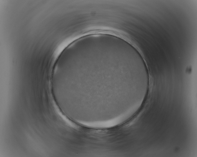 X0000112771533200909171301