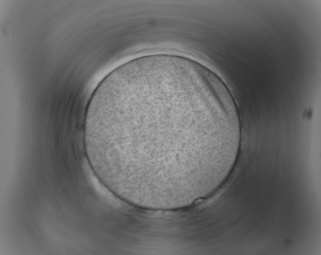 X0000112771534200909171301