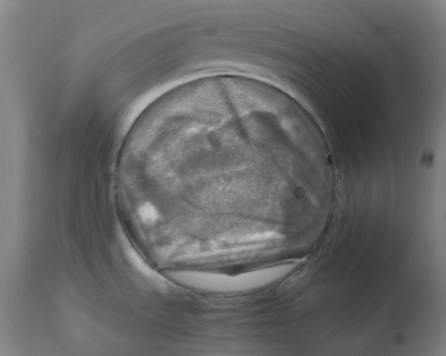 X0000112771535200909171301