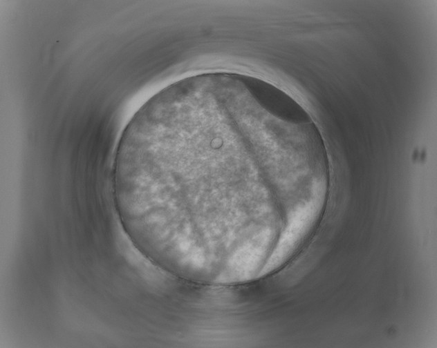 X0000112771536200909171301