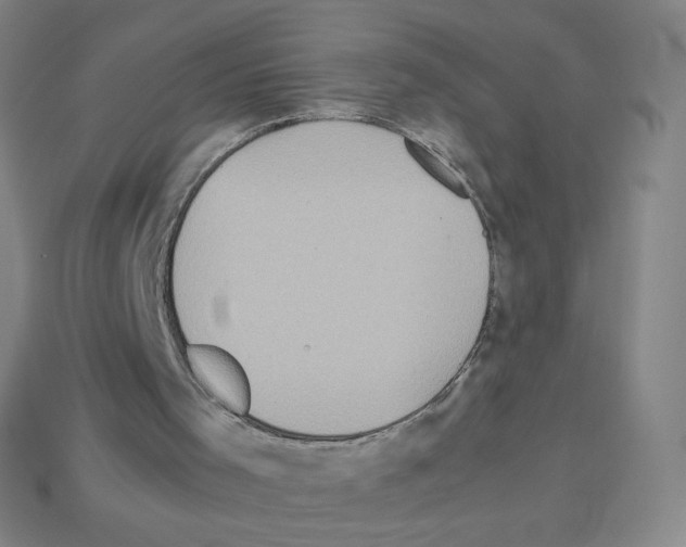 X0000112770001200910011246