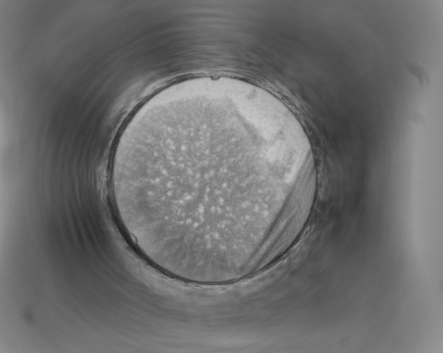 X0000112770002200910011246