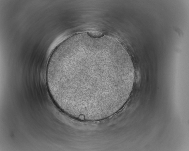 X0000112770004200910011246