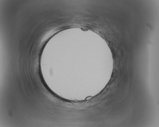 X0000112770005200910011246