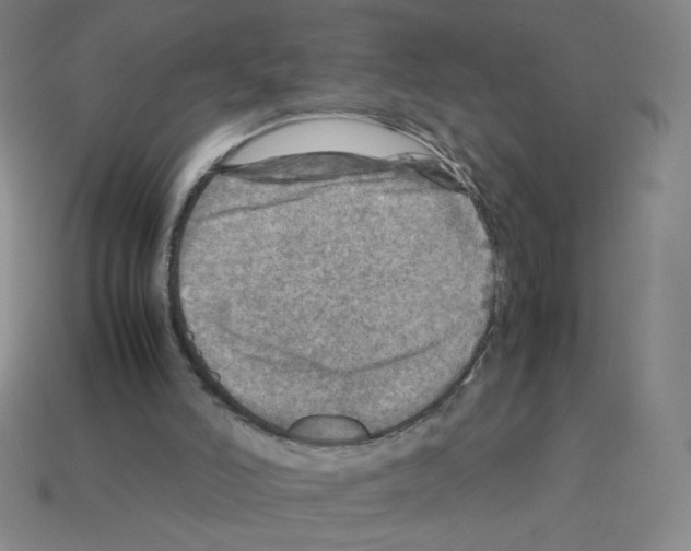 X0000112770006200910011246