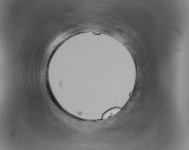 X0000112770007200910011246