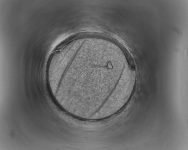 X0000112770008200910011246