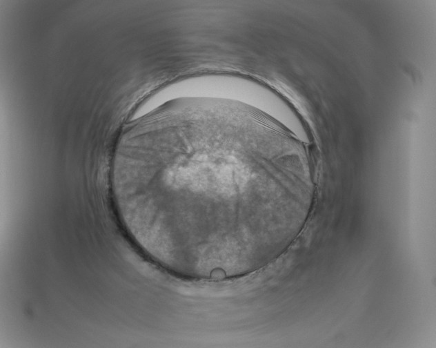 X0000112770009200910011246