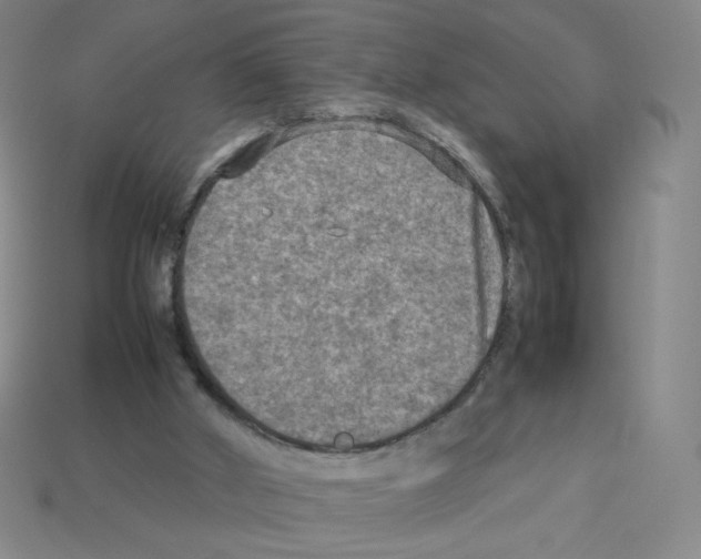 X0000112770010200910011246