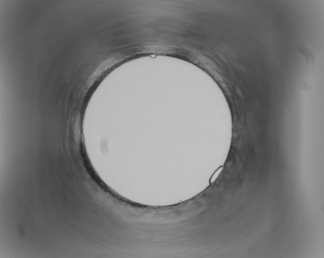 X0000112770011200910011246