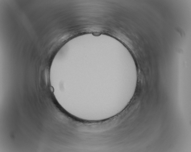 X0000112770013200910011246