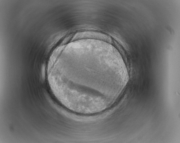 X0000112770014200910011246