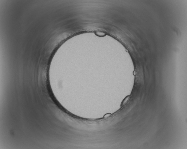 X0000112770015200910011246