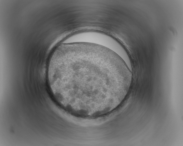 X0000112770016200910011246