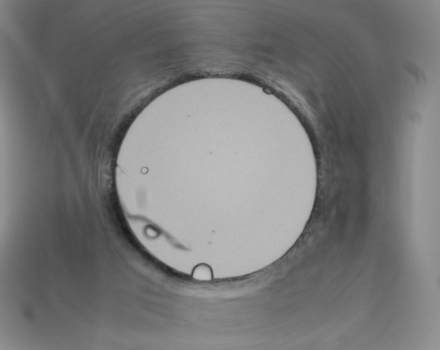 X0000112770017200910011246