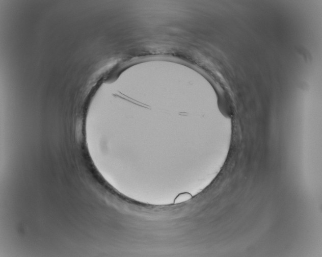 X0000112770019200910011246