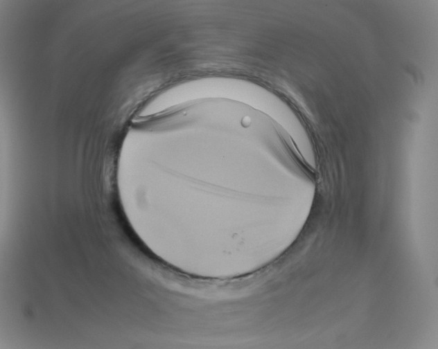 X0000112770023200910011246