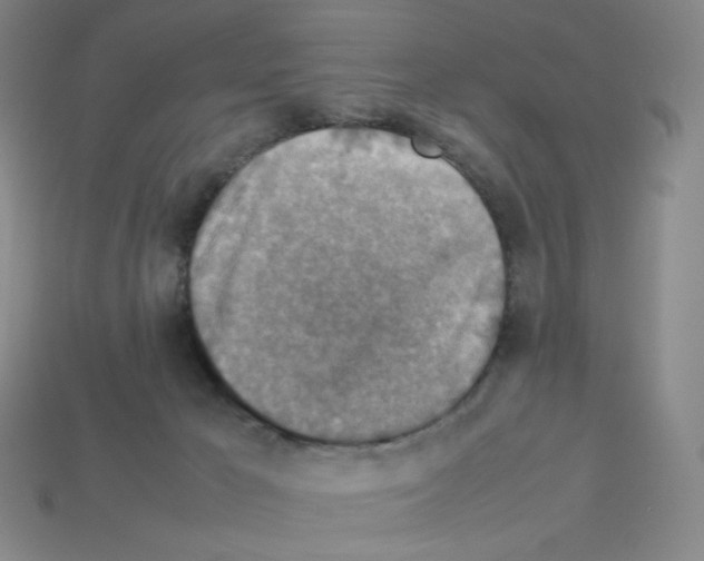 X0000112770029200910011246