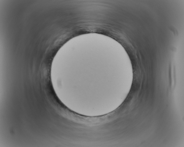 X0000112770031200910011246